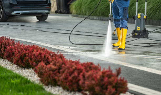 Professional Pressure Washing Services in Newington, VA